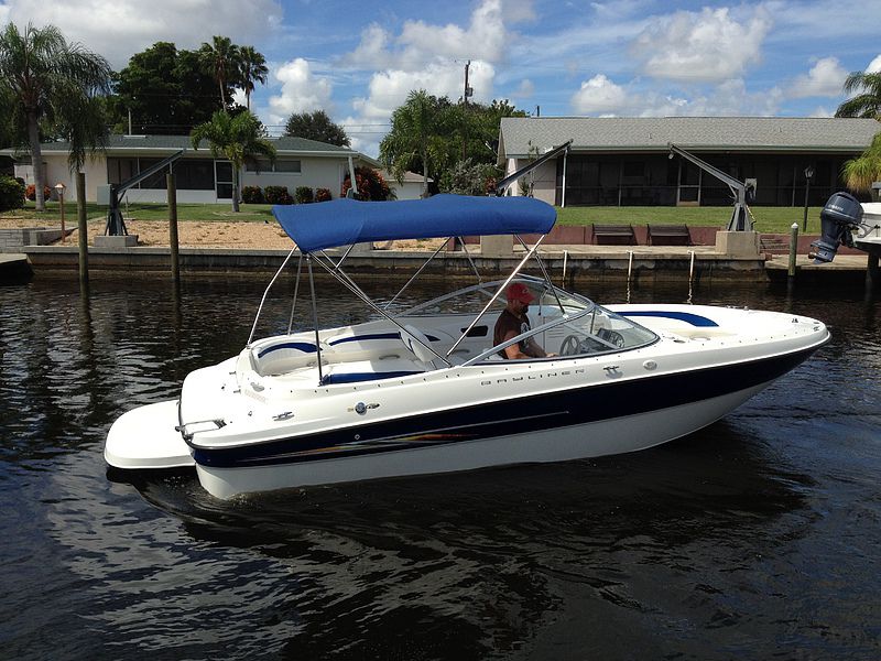 Bayliner 219 SD - picture 1