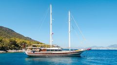 Deluxe Gulet 37 m - picture 1