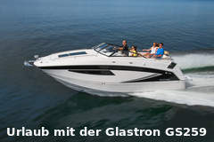 Glastron GS259 - resim 1