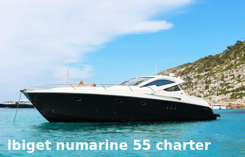 Numarine 55
