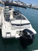 Sea Ray 19 SPX - picture 7