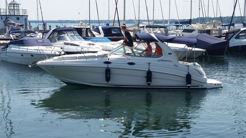 Sea Ray Charter 315 Gardasee - picture 3