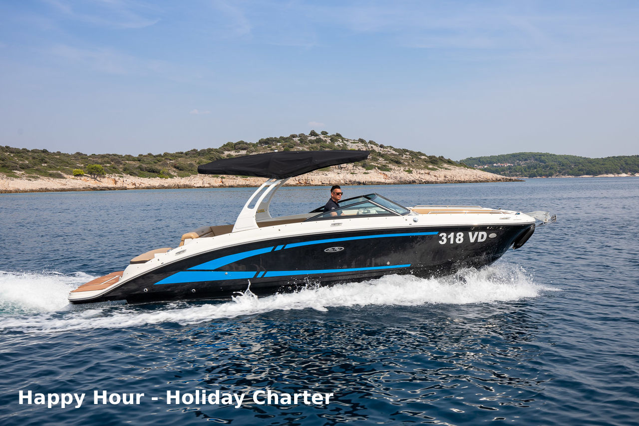 Sea Ray SDX 270 - picture 1